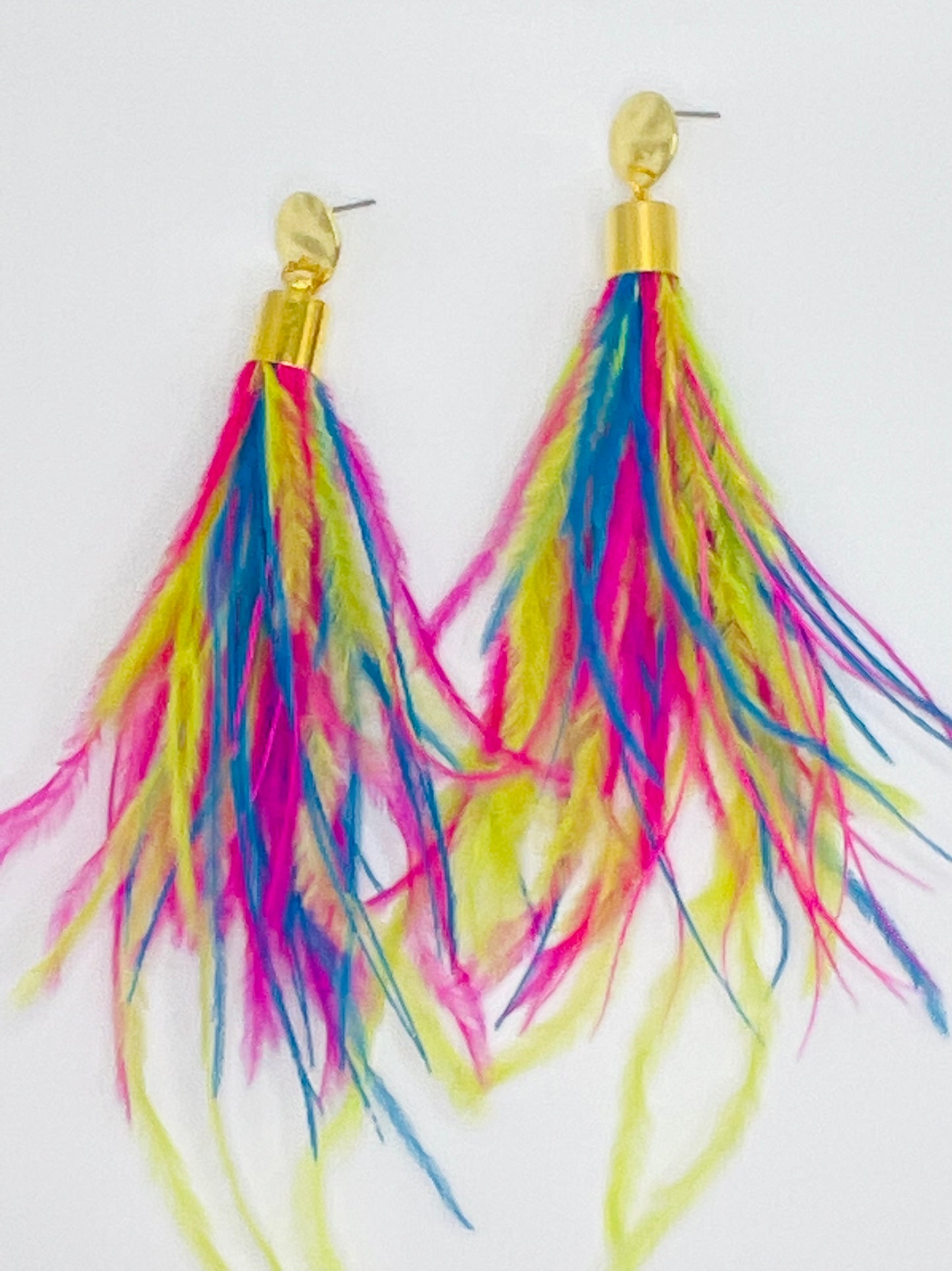 Carousel Feather Earrings